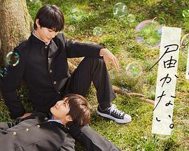 瑞奇说的什么海报剧照