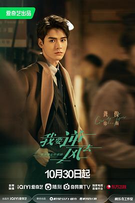 永远的零在线海报剧照